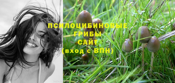 спиды Строитель