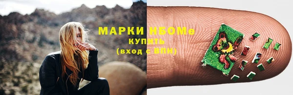 индика Новокубанск
