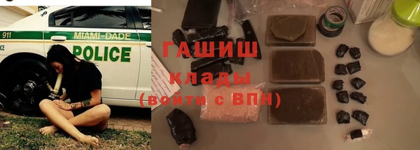 индика Новокубанск