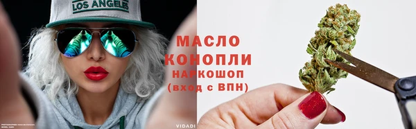 индика Новокубанск