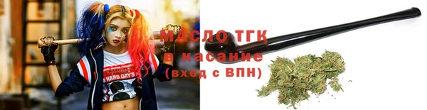 индика Новокубанск