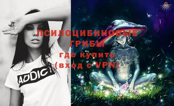 мескалин Новозыбков
