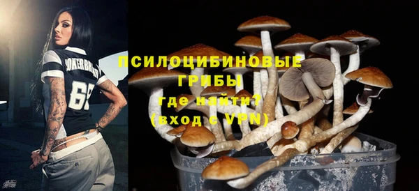 индика Новокубанск