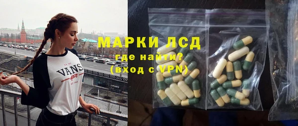 индика Новокубанск