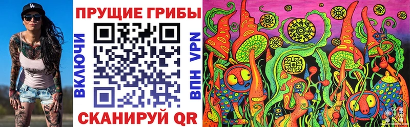 Псилоцибиновые грибы мицелий  как найти наркотики  Ноябрьск 