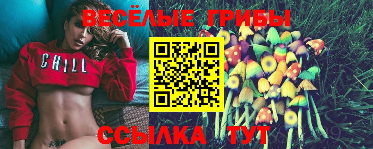Псилоцибиновые грибы мухоморы Ноябрьск