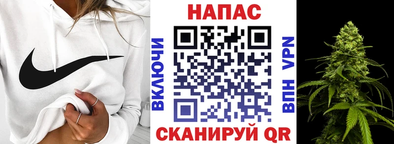 Конопля конопля  Ноябрьск 